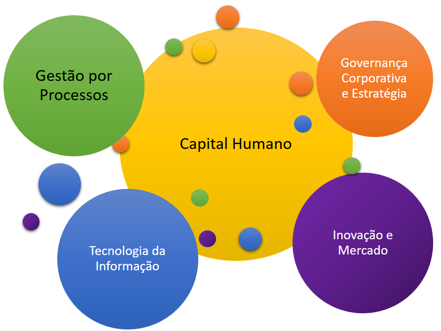 Capital Humano 	Gestão por Processos 	Governança Corporativa e Estratégia 	Inovação e Mercado 	Tecnologia da Informação